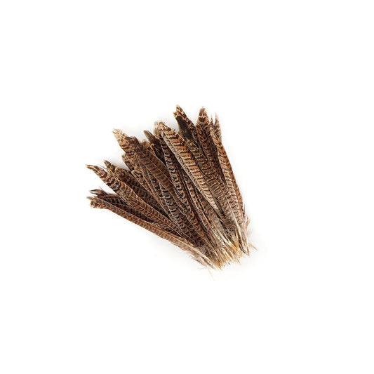 Female Ringneck Pheasant Tails - Natural - 6 - 8’’ - Feathers