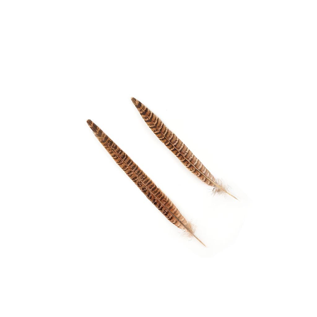 Female Ringneck Pheasant Tails - Natural - 8 - 10’’ - Feathers