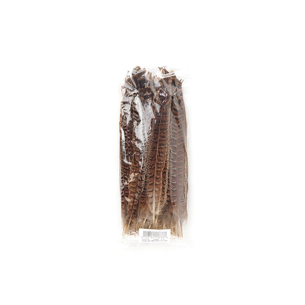 Female Ringneck Pheasant Tails - Natural - 8 - 10’’ - Feathers