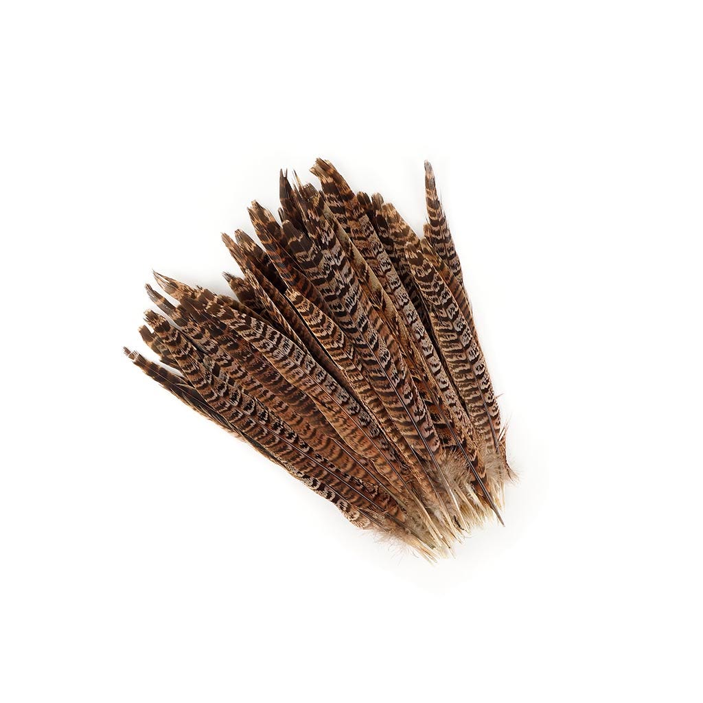 Female Ringneck Pheasant Tails - Natural - 8 - 10’’ - Feathers