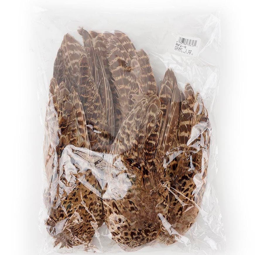 Female Ringneck Pheasant Wing - Natural - Feathers