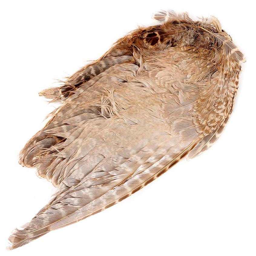 Female Ringneck Pheasant Wing - Natural - Feathers