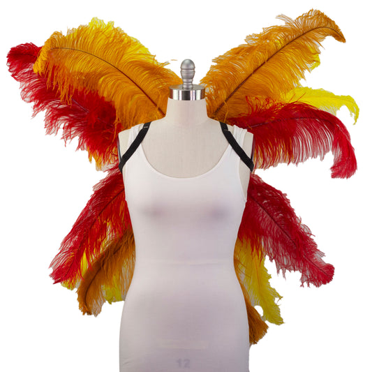 Ostrich Wings Large 31 x 40 inch --Custom