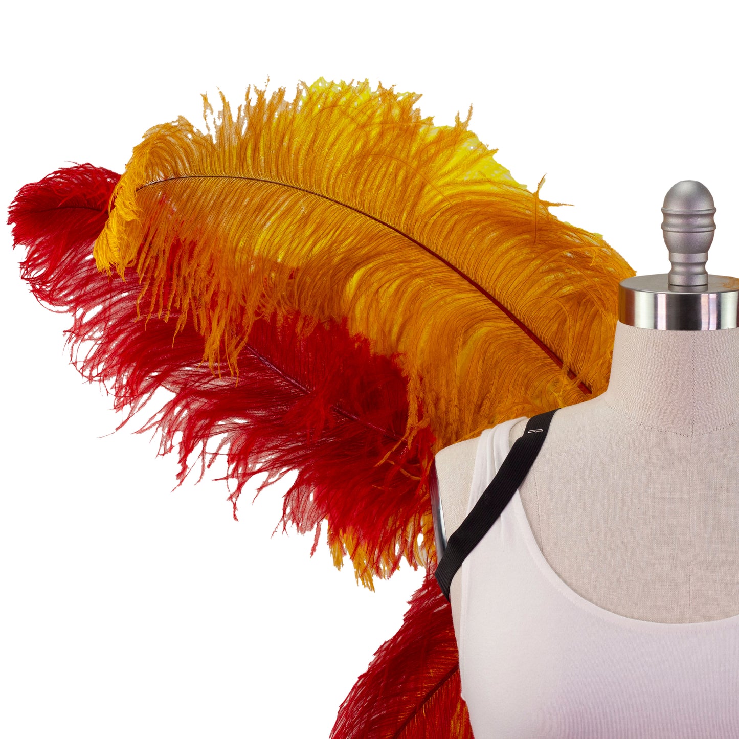 Ostrich Wings Large 31 x 40 inch --Custom
