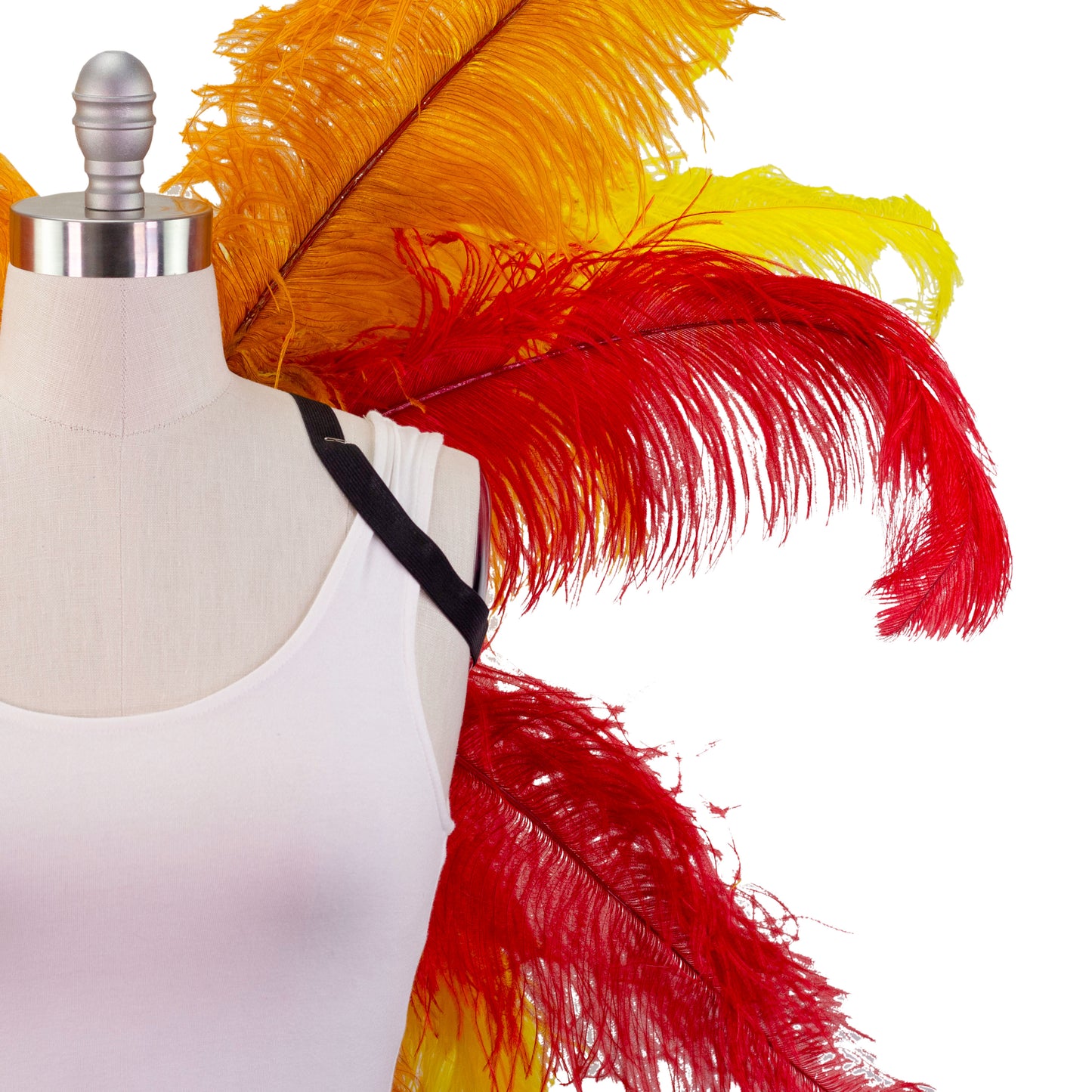 Ostrich Wings Large 31 x 40 inch --Custom