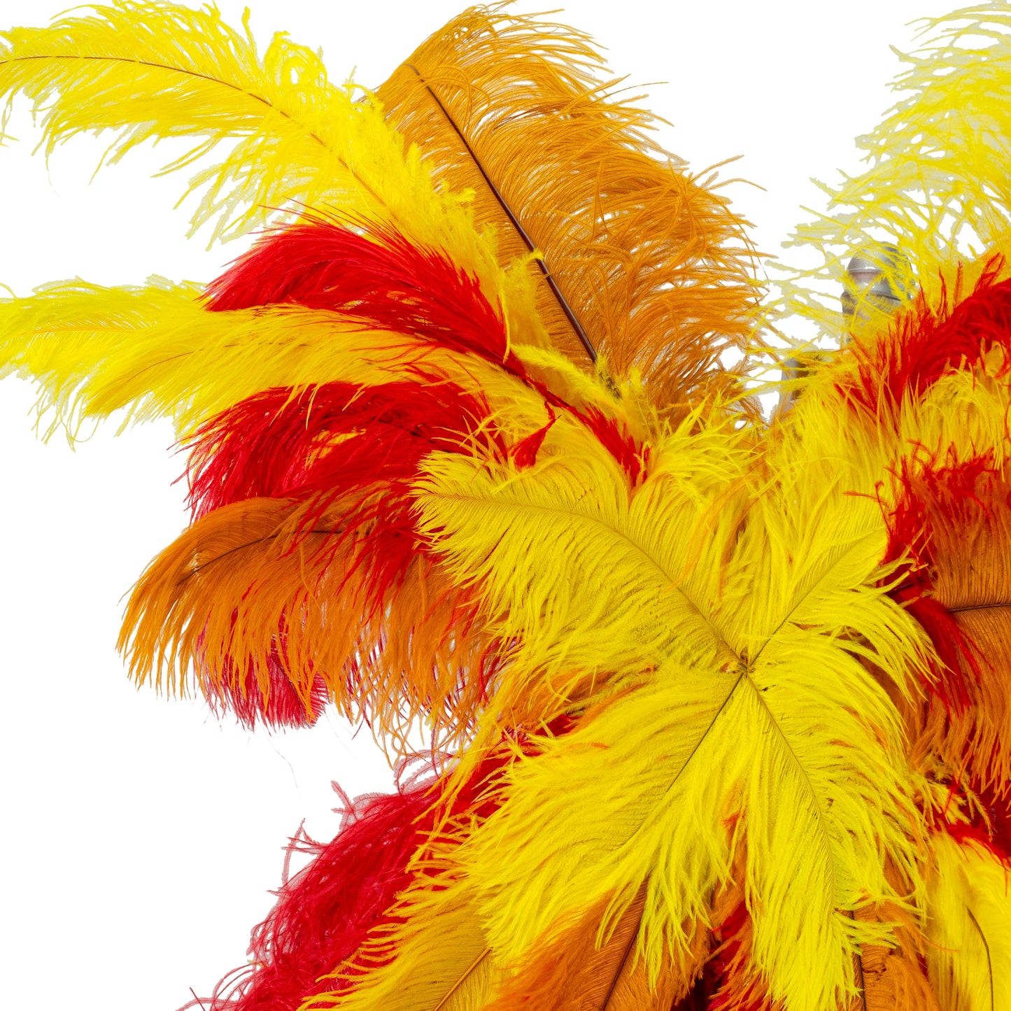 Ostrich Wings Large 31 x 40 inch --Custom