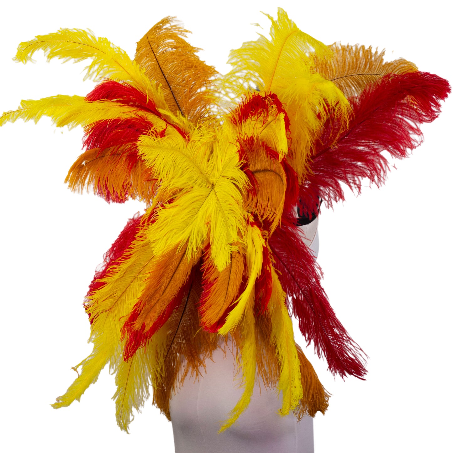 Ostrich Wings Large 31 x 40 inch --Custom