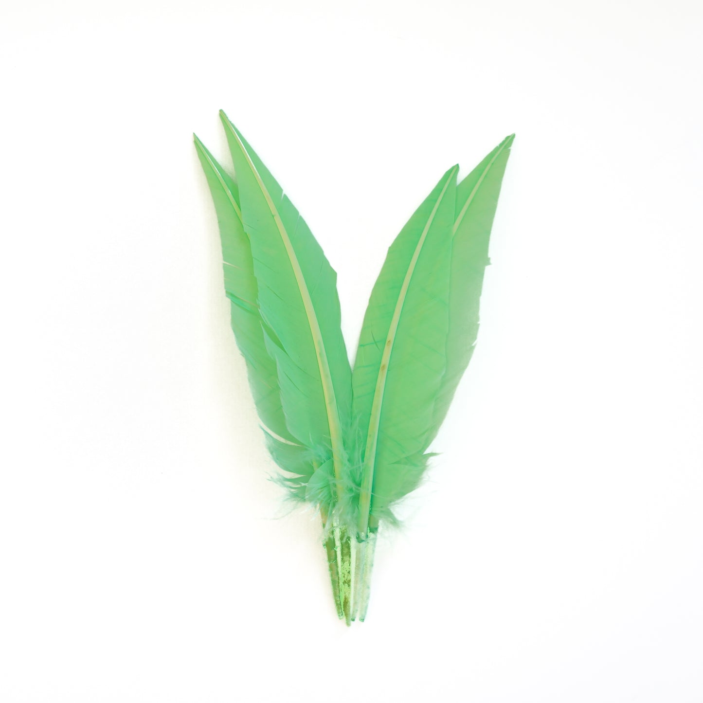 Fluorescent Lime Green Dagger Turkey Quill Feathers 9-12"