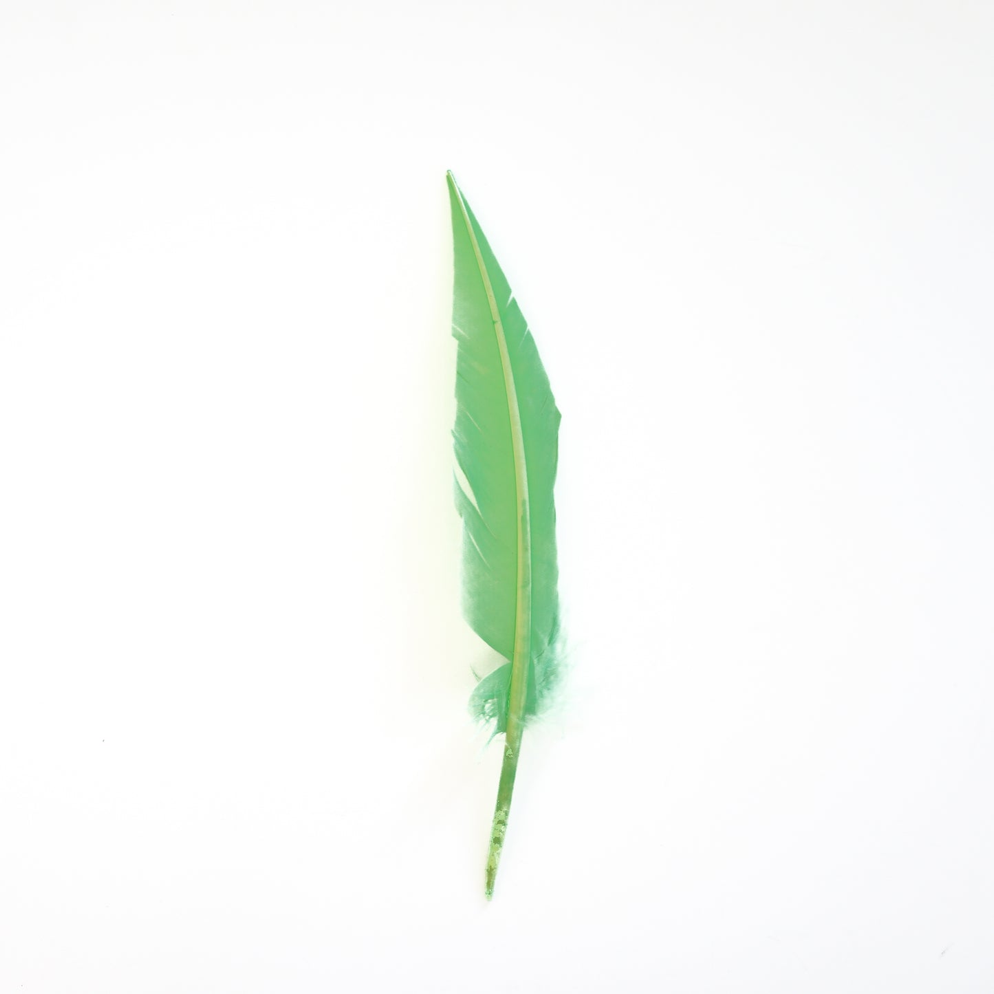 Fluorescent Lime Green Dagger Turkey Quill Feathers 9-12"