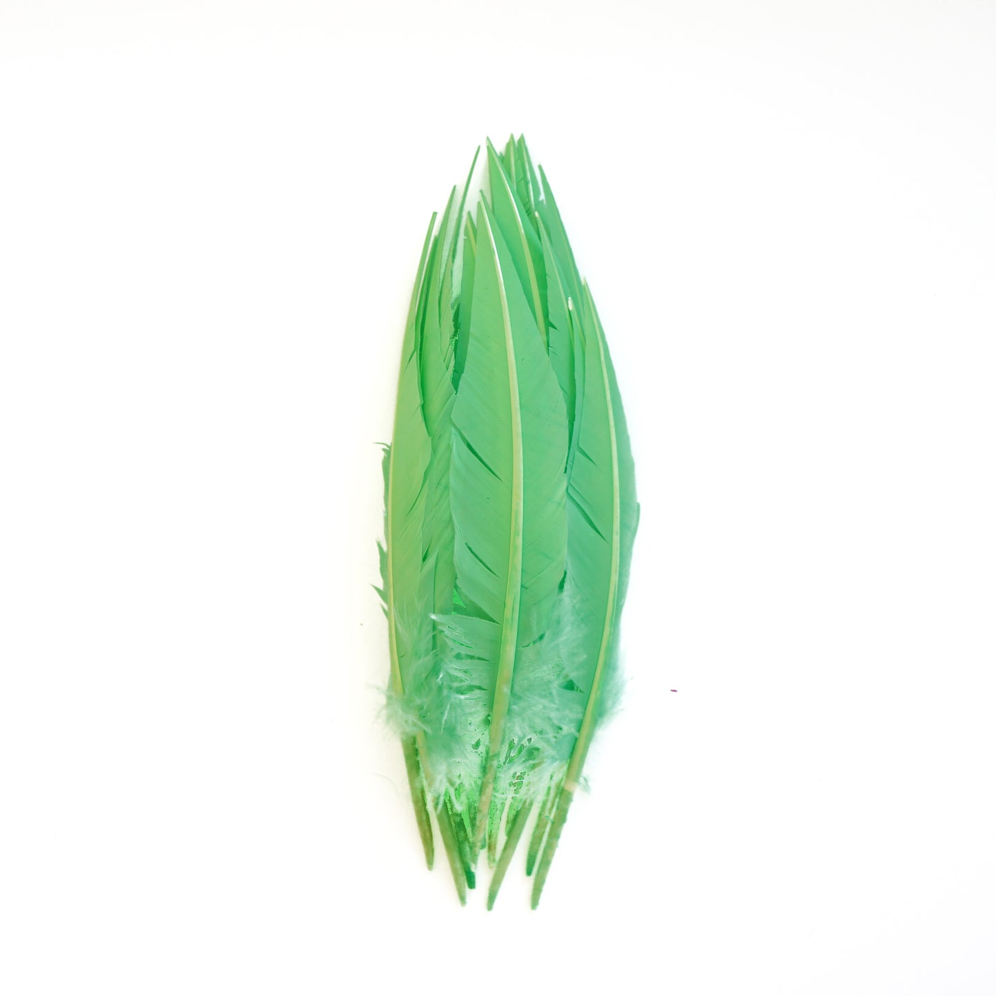 Fluorescent Lime Green Dagger Turkey Quill Feathers 9-12"