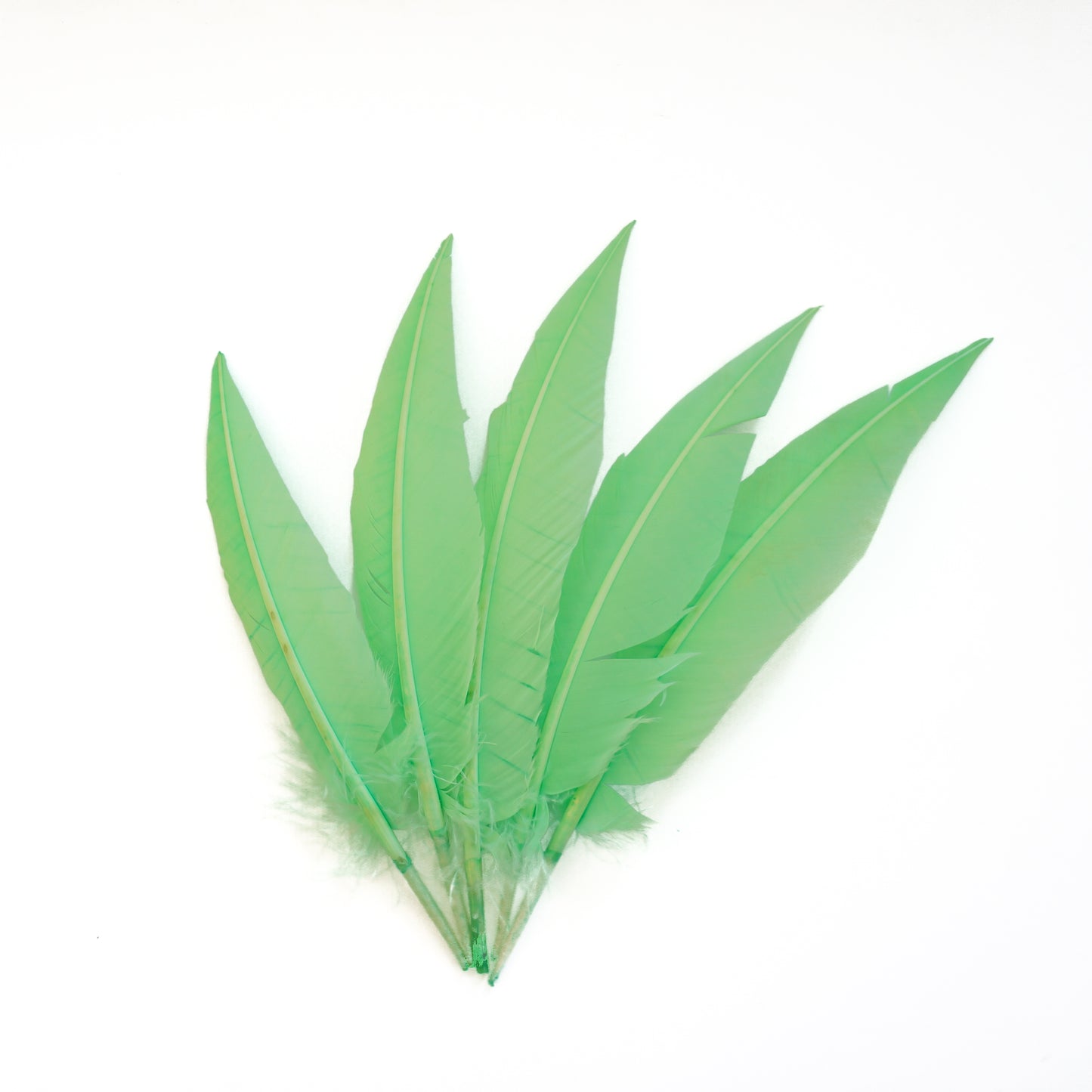 Fluorescent Lime Green Dagger Turkey Quill Feathers 9-12"