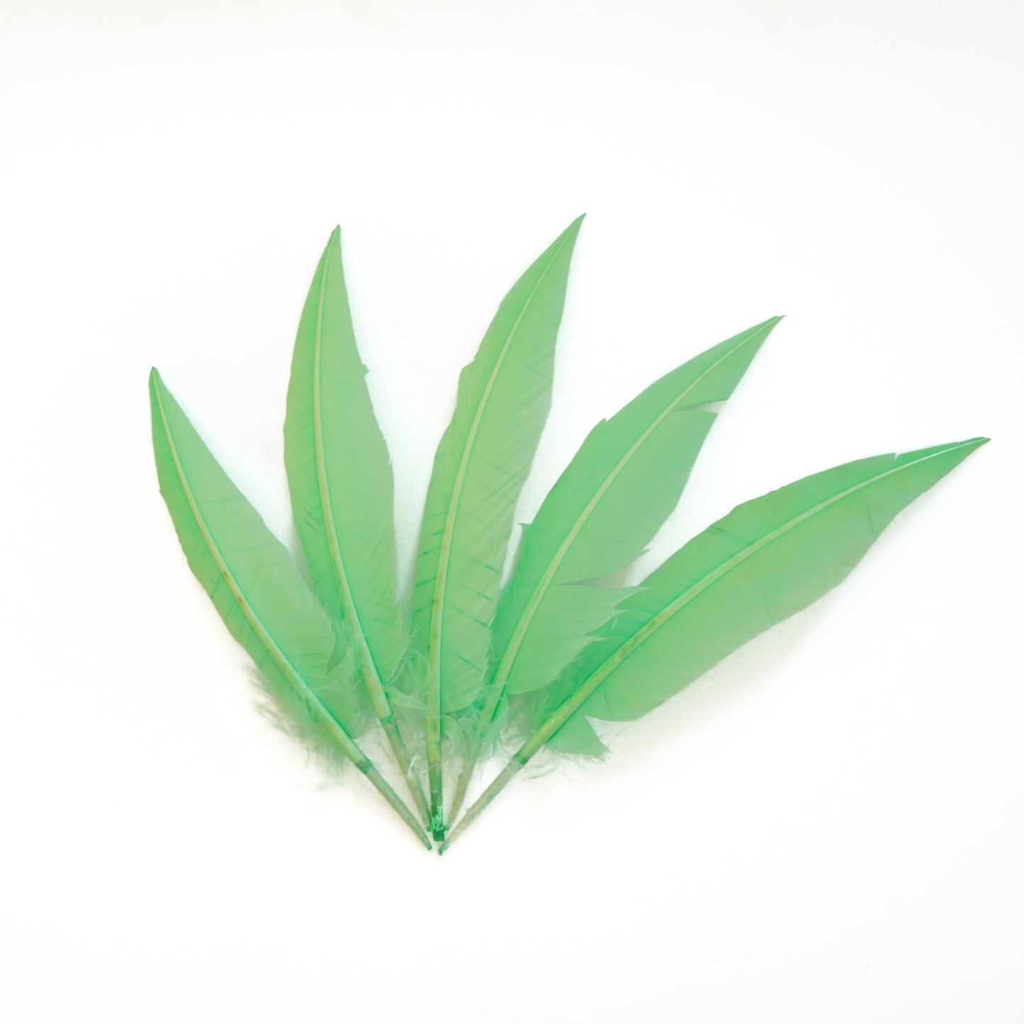 Fluorescent Lime Green Dagger Turkey Quill Feathers 9-12"