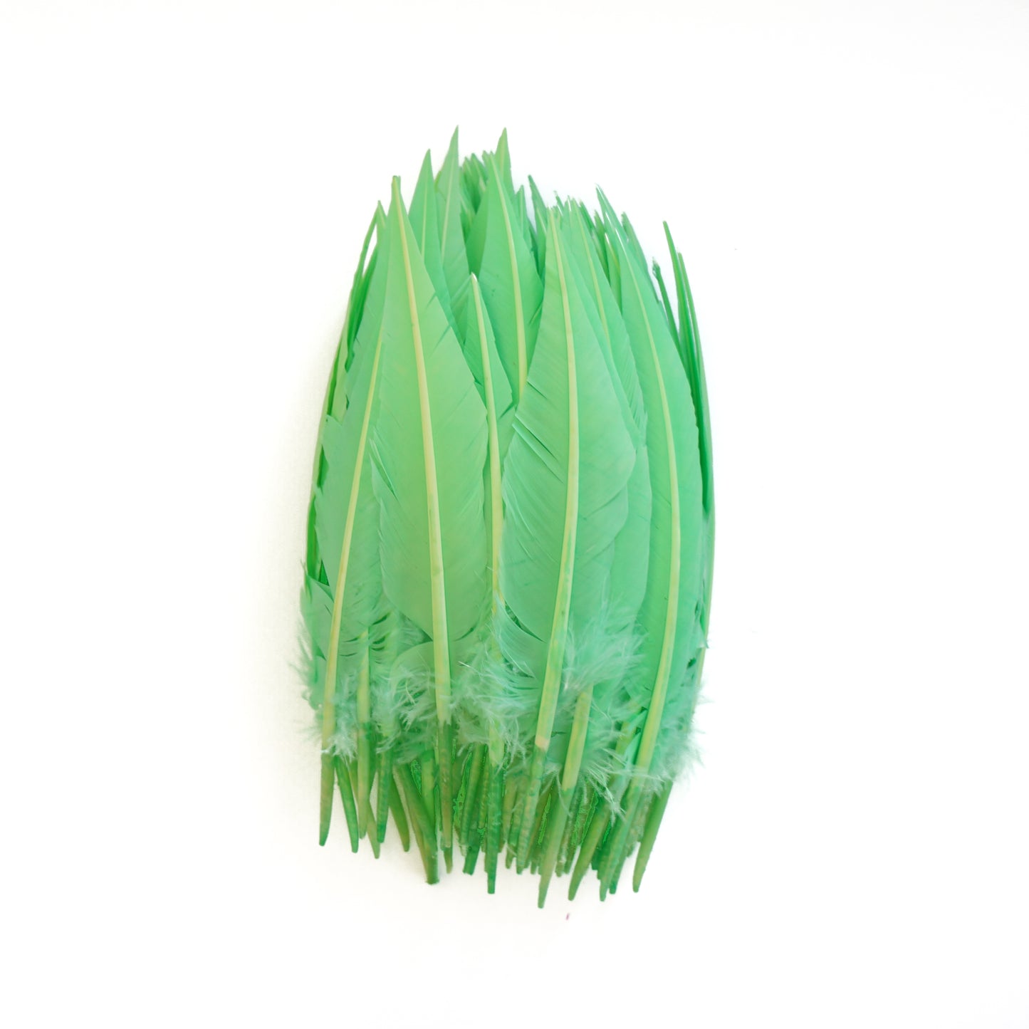 Fluorescent Lime Green Dagger Turkey Quill Feathers 9-12"