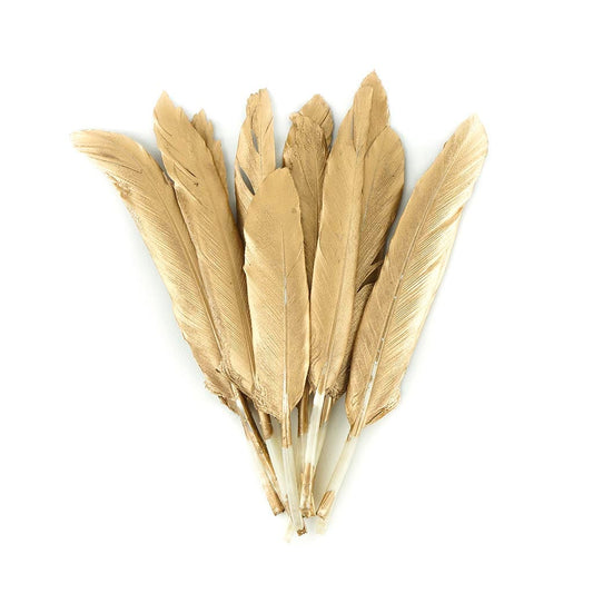 Gilded Duck Cosse Feathers Gold - Feathers