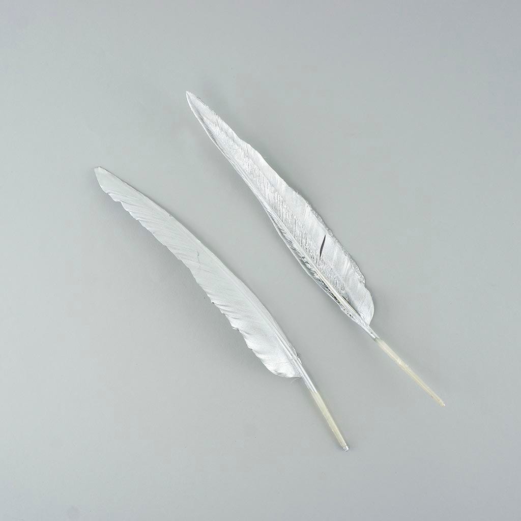 Gilded Goose Pointer Feathers - Silver - Feathers