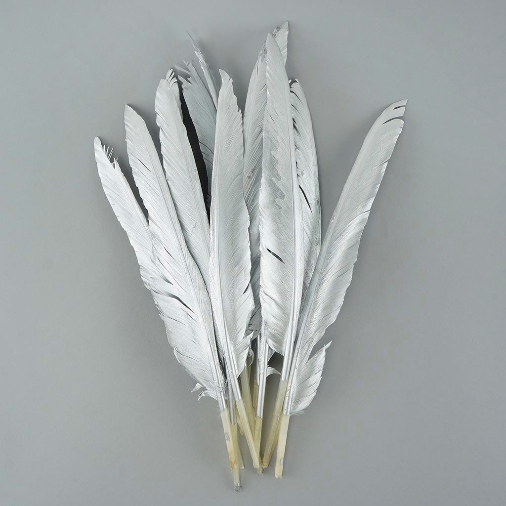 Gilded Goose Pointer Feathers - Silver - Feathers