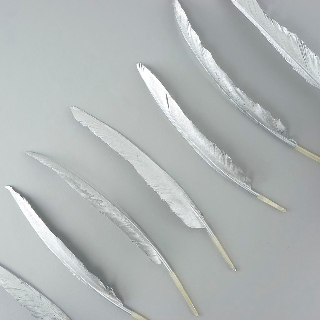 Gilded Goose Pointer Feathers - Silver - Feathers