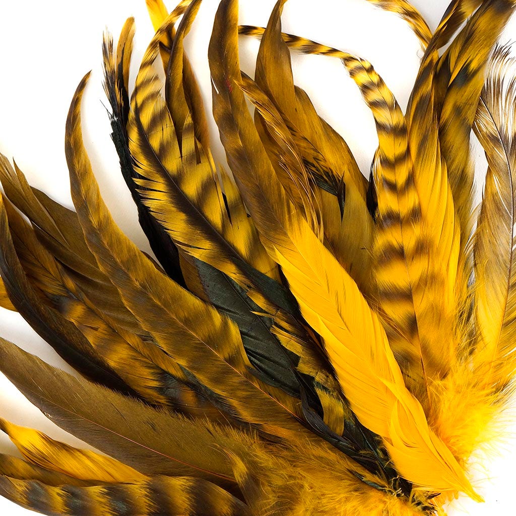 Gold Chinchilla Rooster Feathers, 8-10 Long Barred Rooster