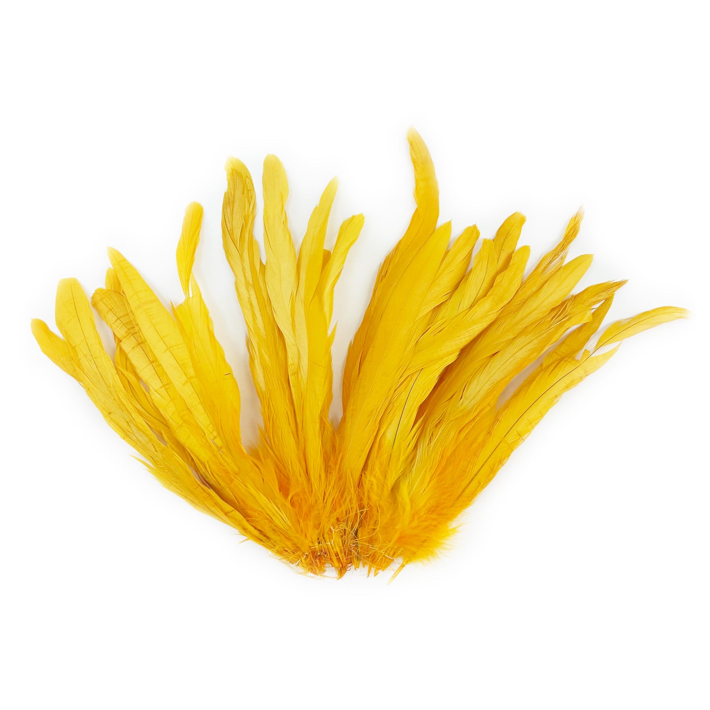 ROOSTER COQUE TAIL FEATHERS BLEACH DYED 7-10” - 25 PC/PKG - Gold