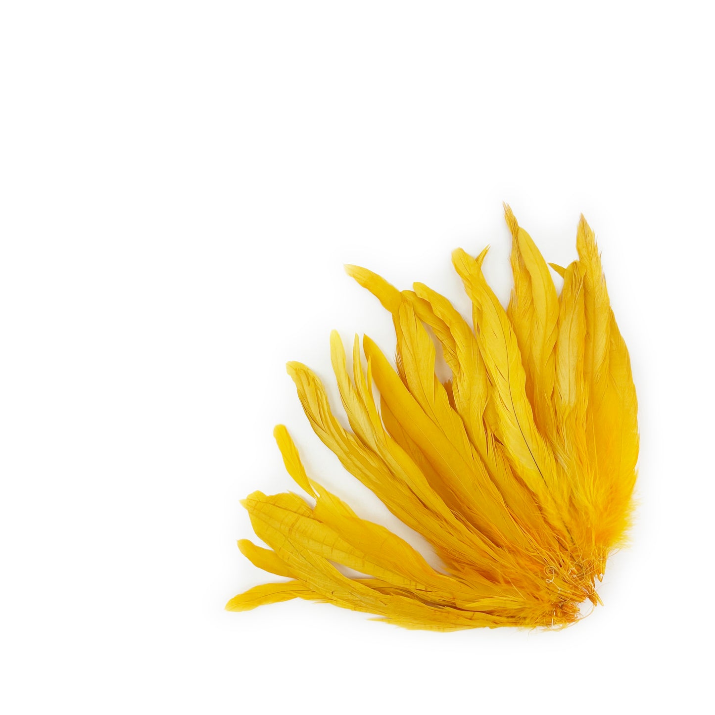 ROOSTER COQUE TAIL FEATHERS BLEACH DYED 7-10” - 25 PC/PKG - Gold