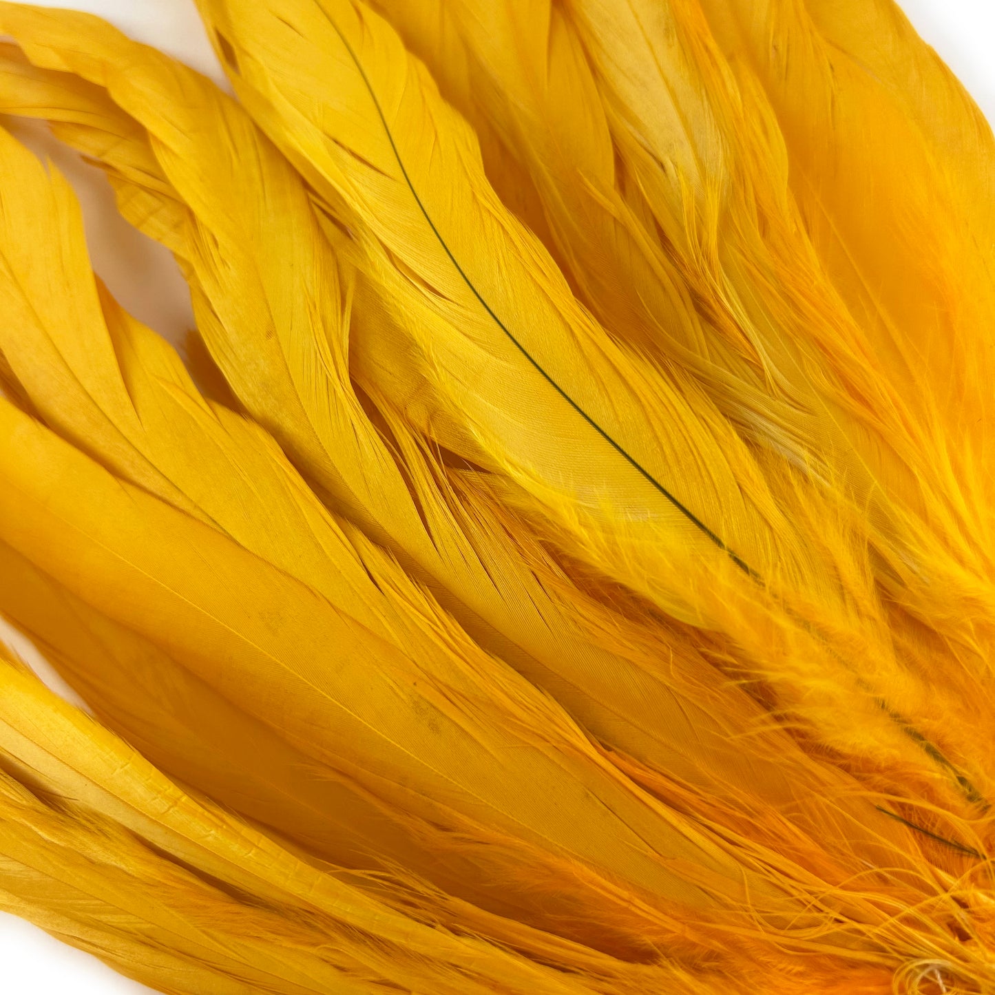 ROOSTER COQUE TAIL FEATHERS BLEACH DYED 7-10” - 25 PC/PKG - Gold