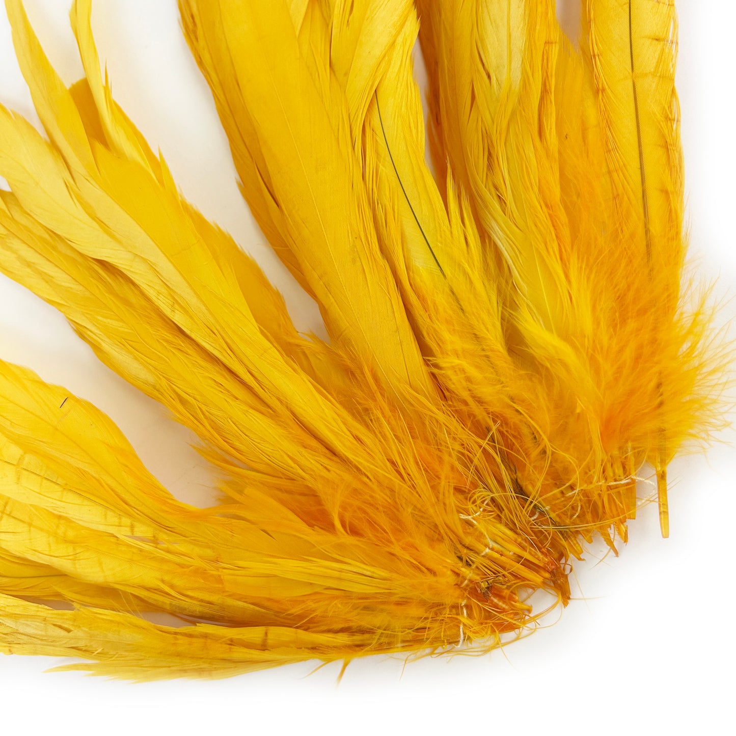 ROOSTER COQUE TAIL FEATHERS BLEACH DYED 7-10” - 25 PC/PKG - Gold
