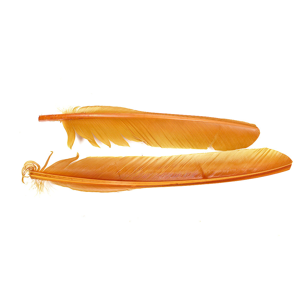Antique Gold Cut Turkey Pointer Feathers 8-12"