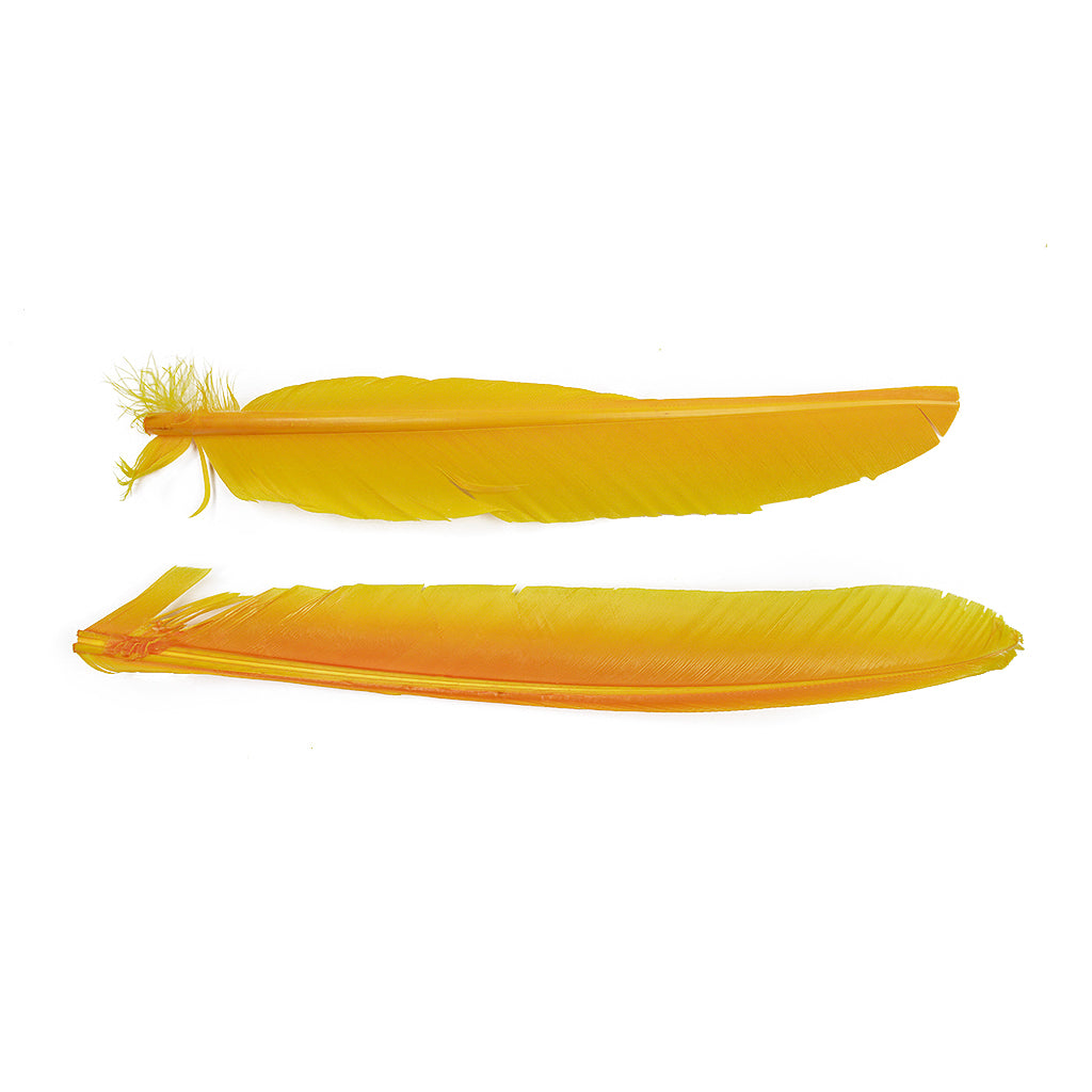 Gold Cut Turkey Pointer Feathers 8-12"