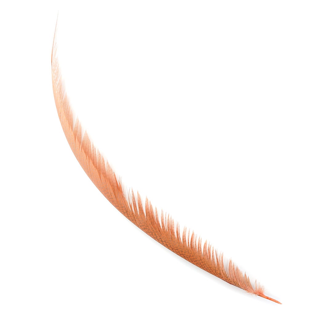 Golden Pheasant Center Tails Dyed Apricot Blush - Feathers