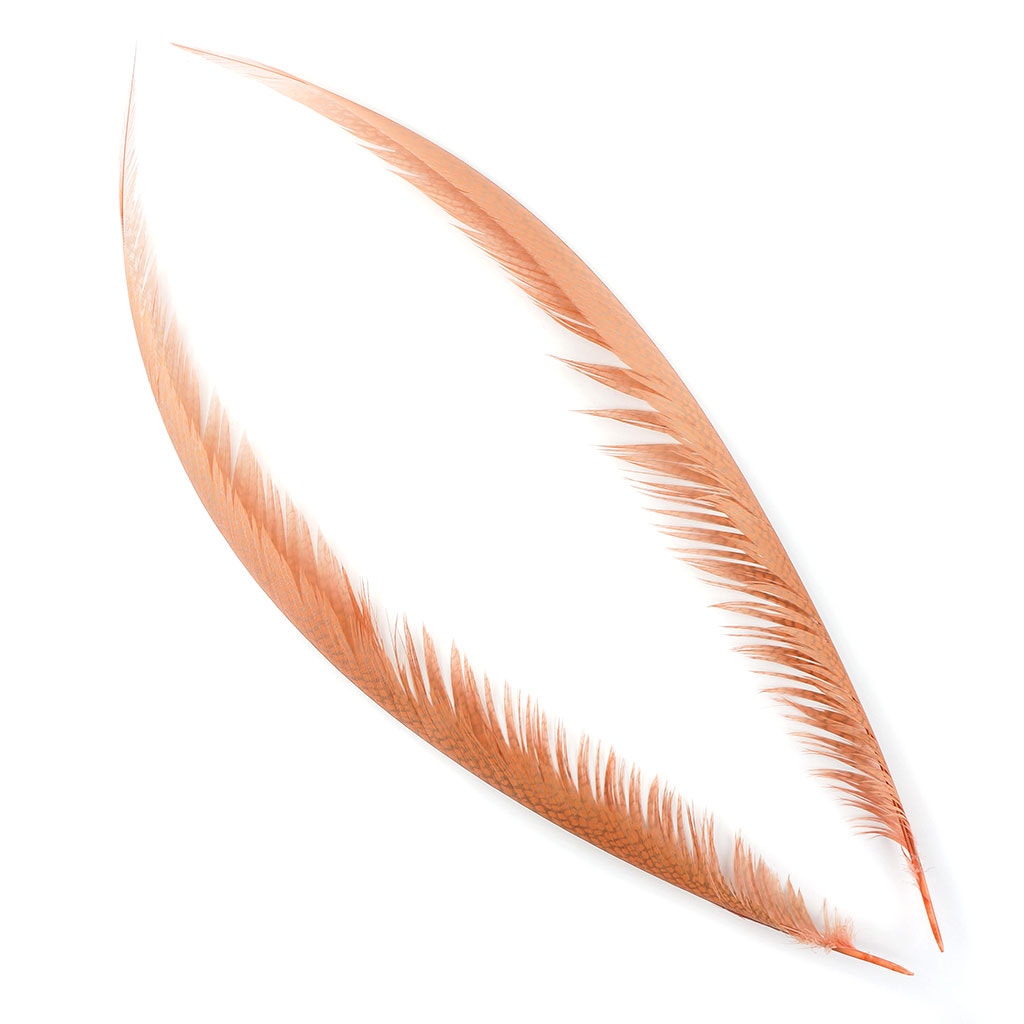 Golden Pheasant Center Tails Dyed Apricot Blush - Feathers