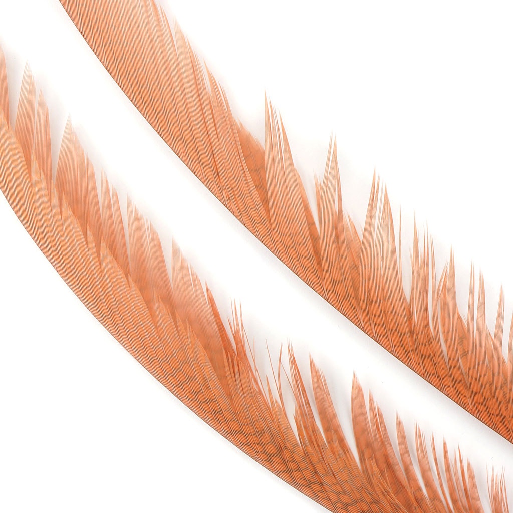 Golden Pheasant Center Tails Dyed Apricot Blush - Feathers