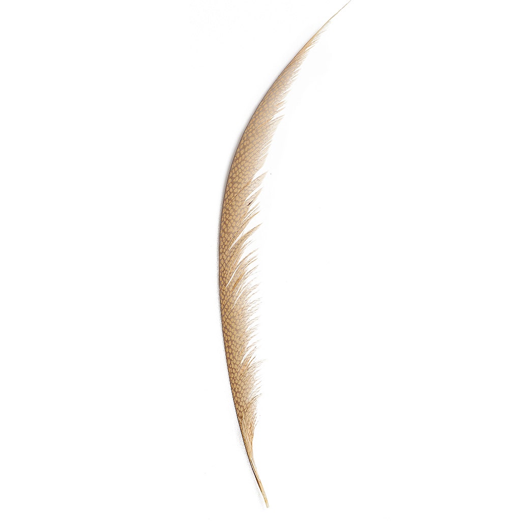 Golden Pheasant Center Tails Dyed Beige - Feathers