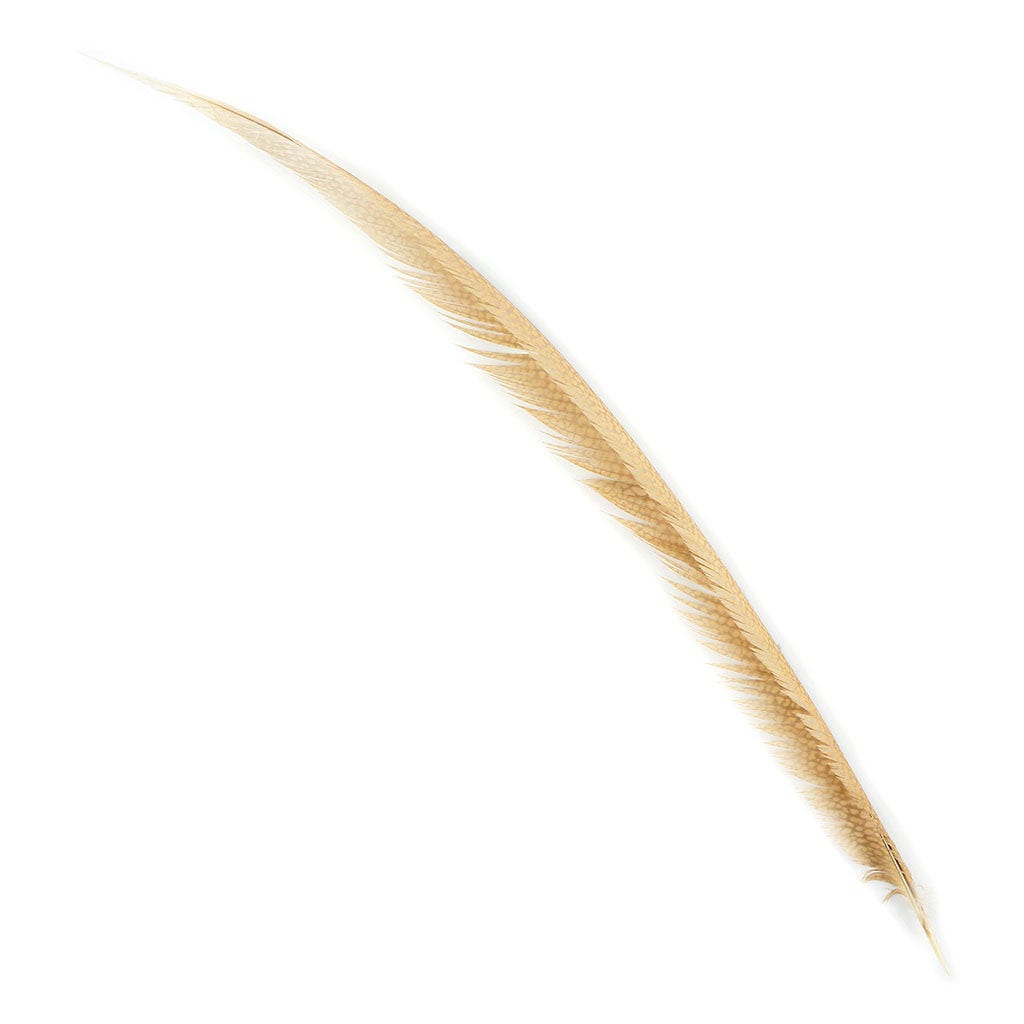 Golden Pheasant Center Tails Dyed Beige - Feathers