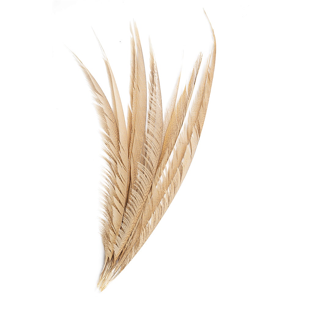 Golden Pheasant Center Tails Dyed Beige - Feathers