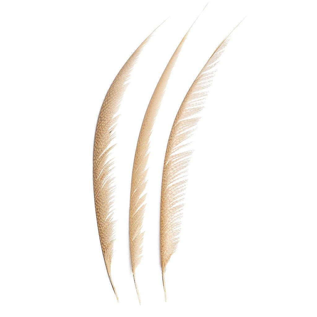 Golden Pheasant Center Tails Dyed Beige - Feathers