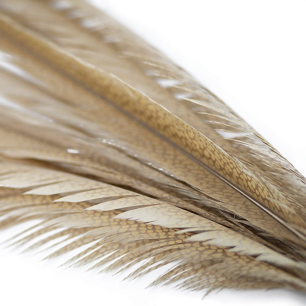 Golden Pheasant Center Tails Dyed Beige - Feathers