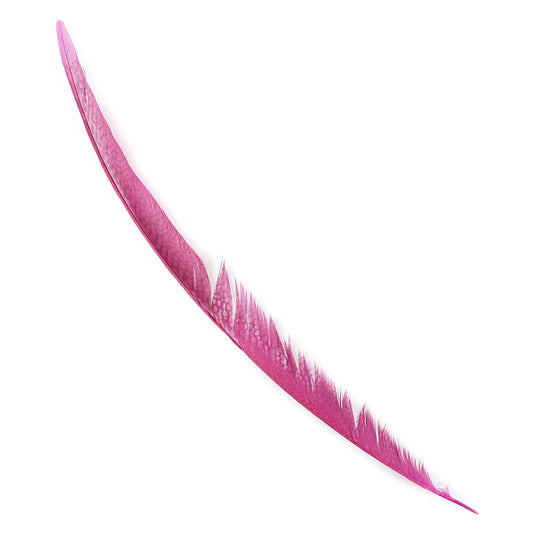 Golden Pheasant Center Tails Dyed Fl Fuchsia - Feathers