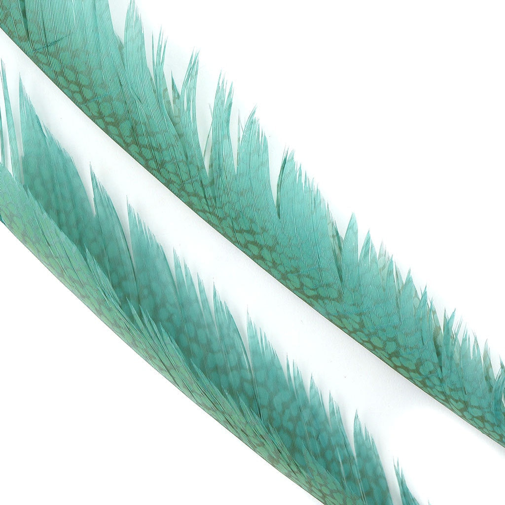 Golden Pheasant Center Tails Dyed Silver Dunn Blue - Feathers