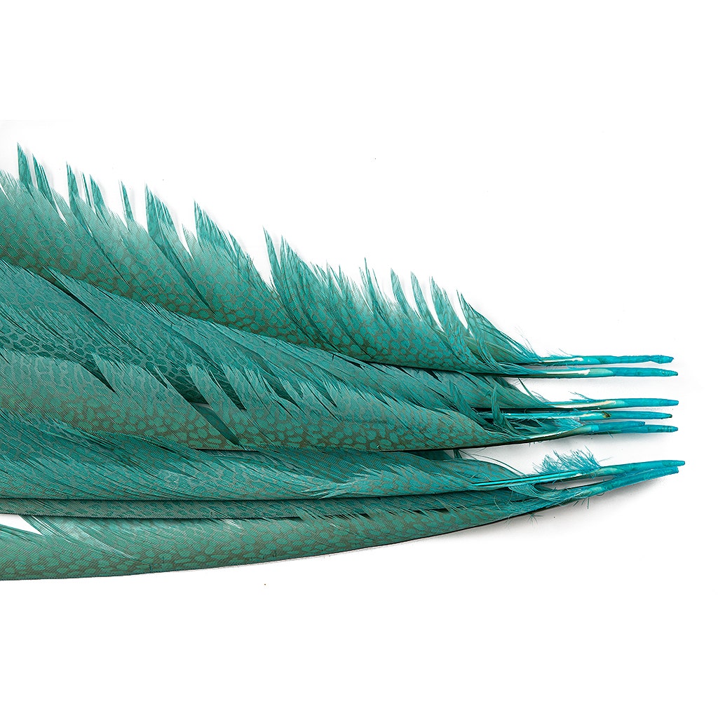 Golden Pheasant Center Tails Dyed Silver Dunn Blue - Feathers