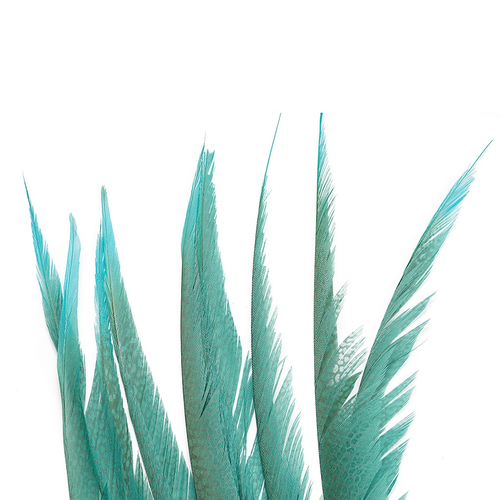 Golden Pheasant Center Tails Dyed Silver Dunn Blue - Feathers