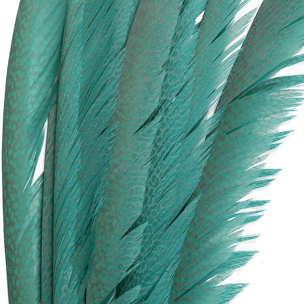 Golden Pheasant Center Tails Dyed Silver Dunn Blue - Feathers