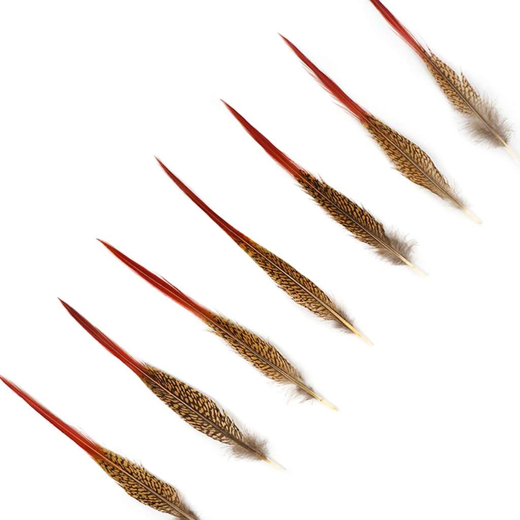 Golden Pheasant Red Top Tail Feathers - Natural - 8 - 10’’ - Feathers