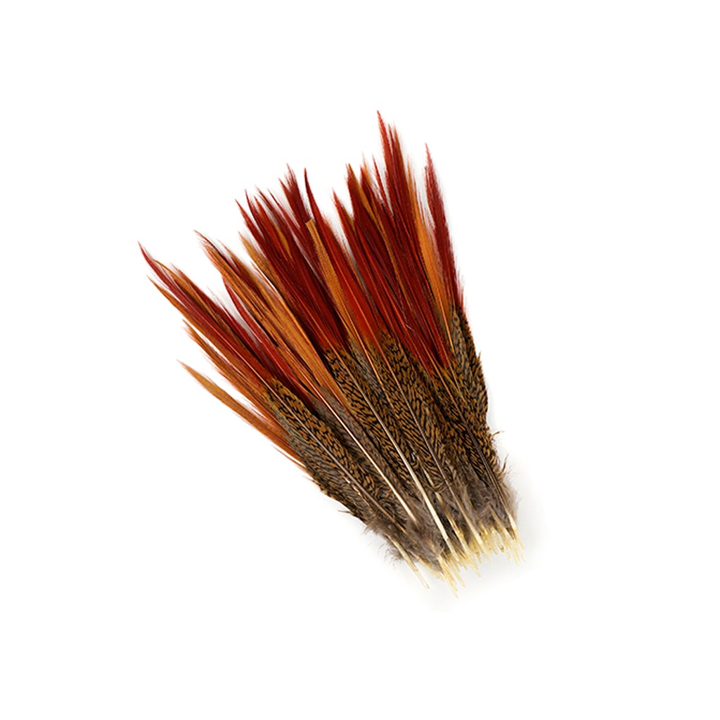 Golden Pheasant Red Top Tail Feathers - Natural - 8 - 10’’ - Feathers