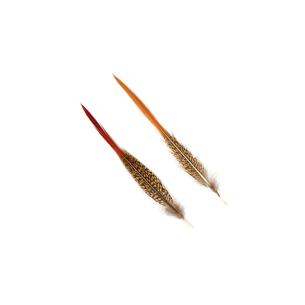 Golden Pheasant Red Top Tail Feathers - Natural - 8 - 10’’ - Feathers