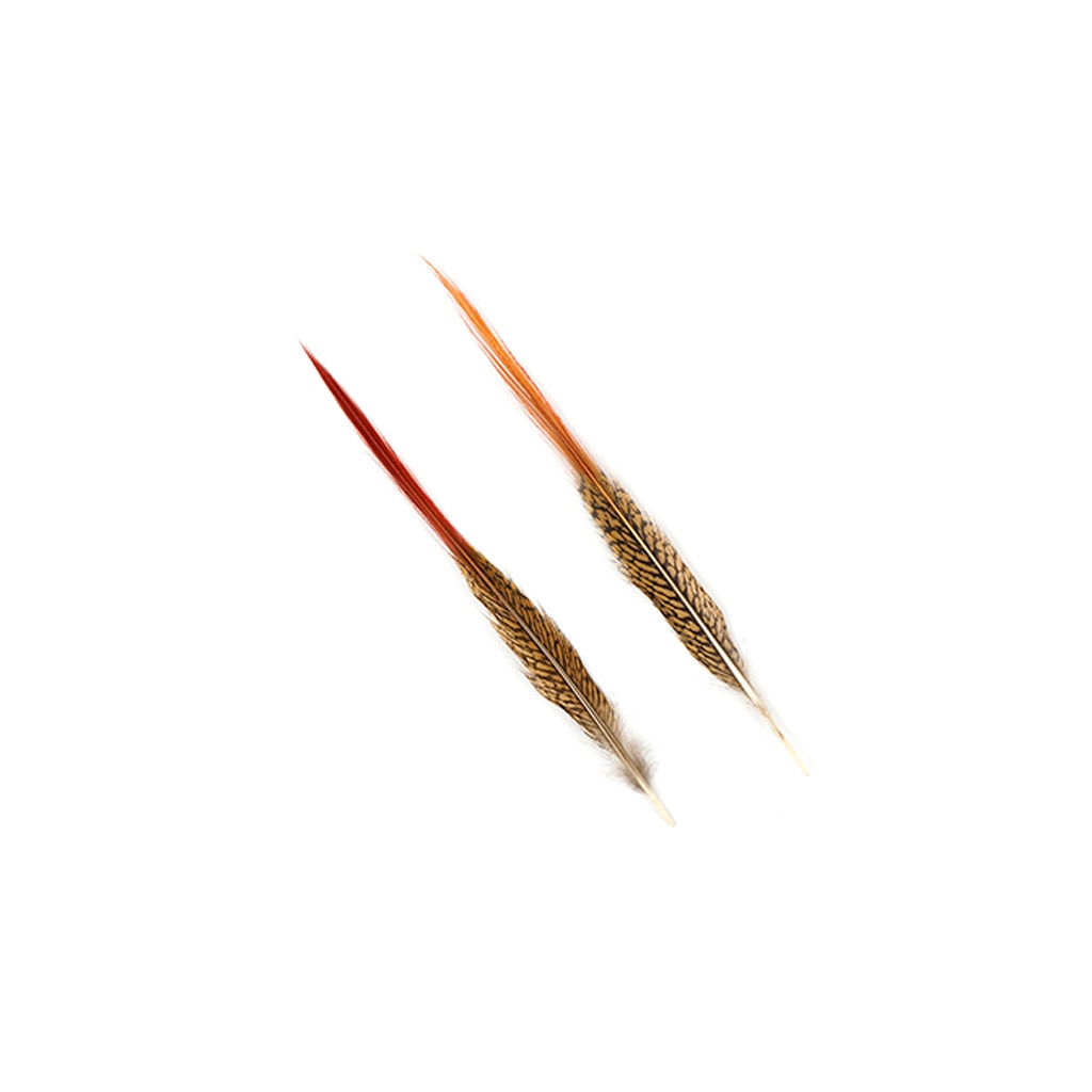 Golden Pheasant Red Top Tails - Natural-10-12’’ - Feathers