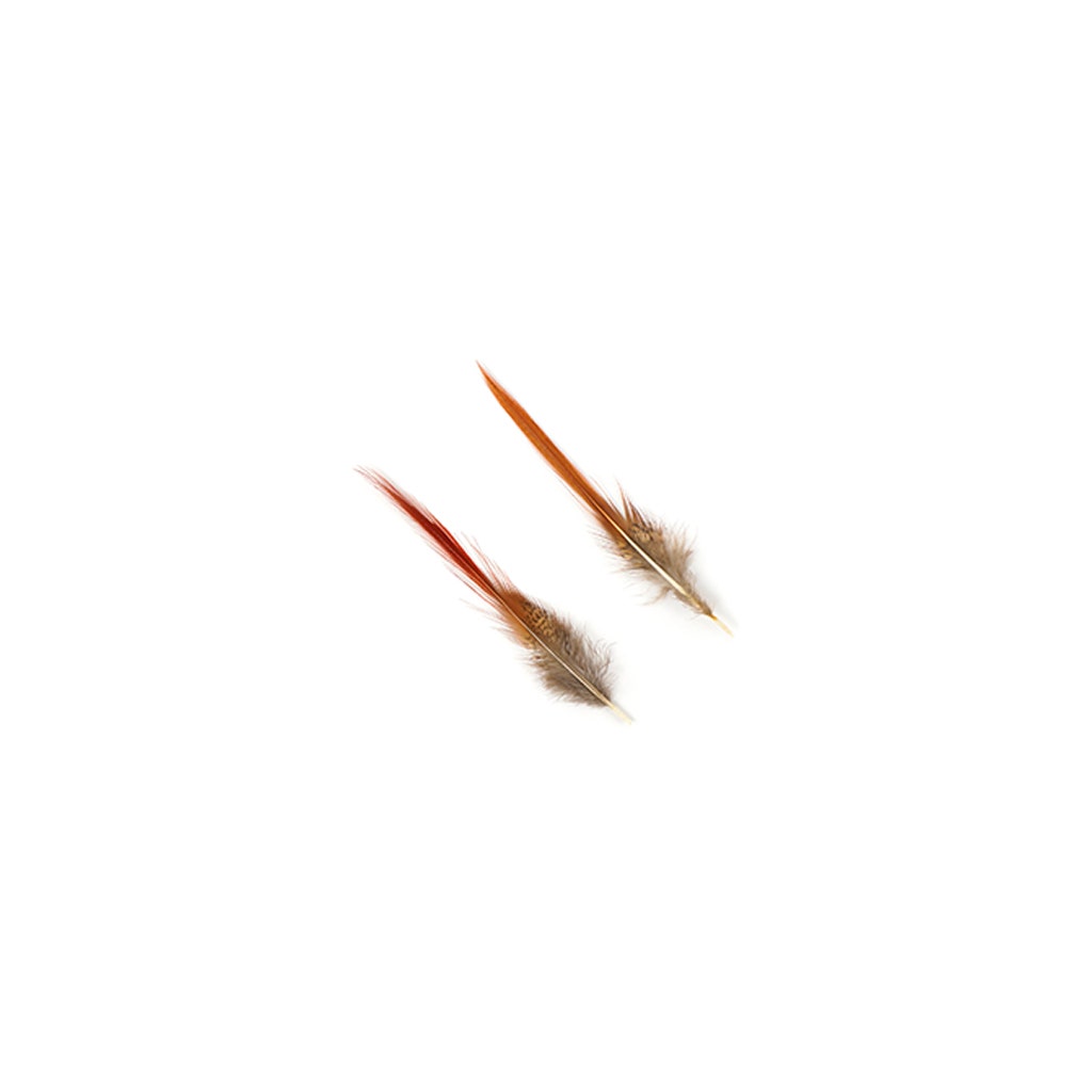 Golden Pheasant Red Top Tails - Natural-4-6’’ - Feathers