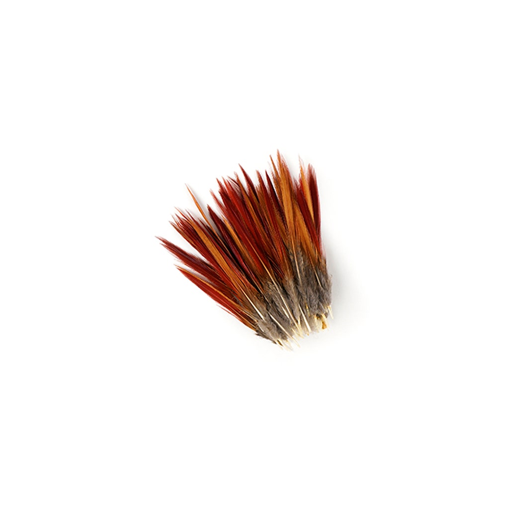 Golden Pheasant Red Top Tails - Natural-4-6’’ - Feathers