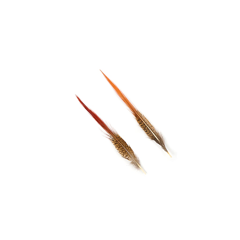 Golden Pheasant Red Top Tails - Natural-6-8’’ - Feathers