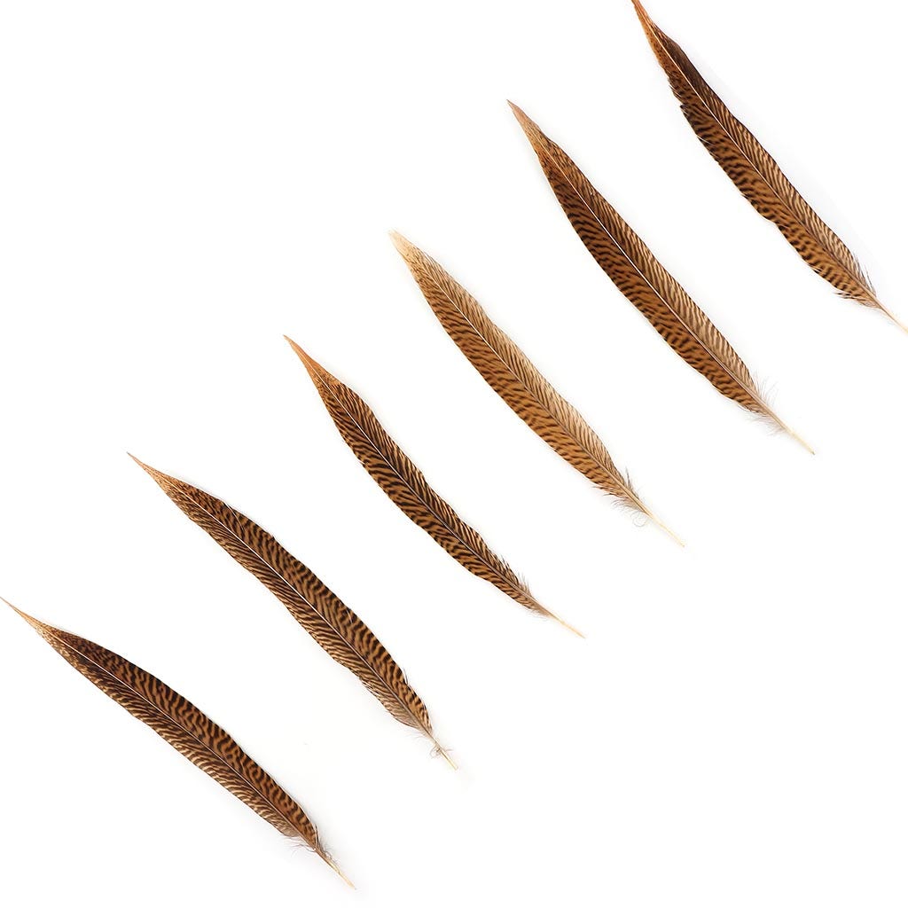 Golden Pheasant Tails Natural - 10 -12’’ - Feathers