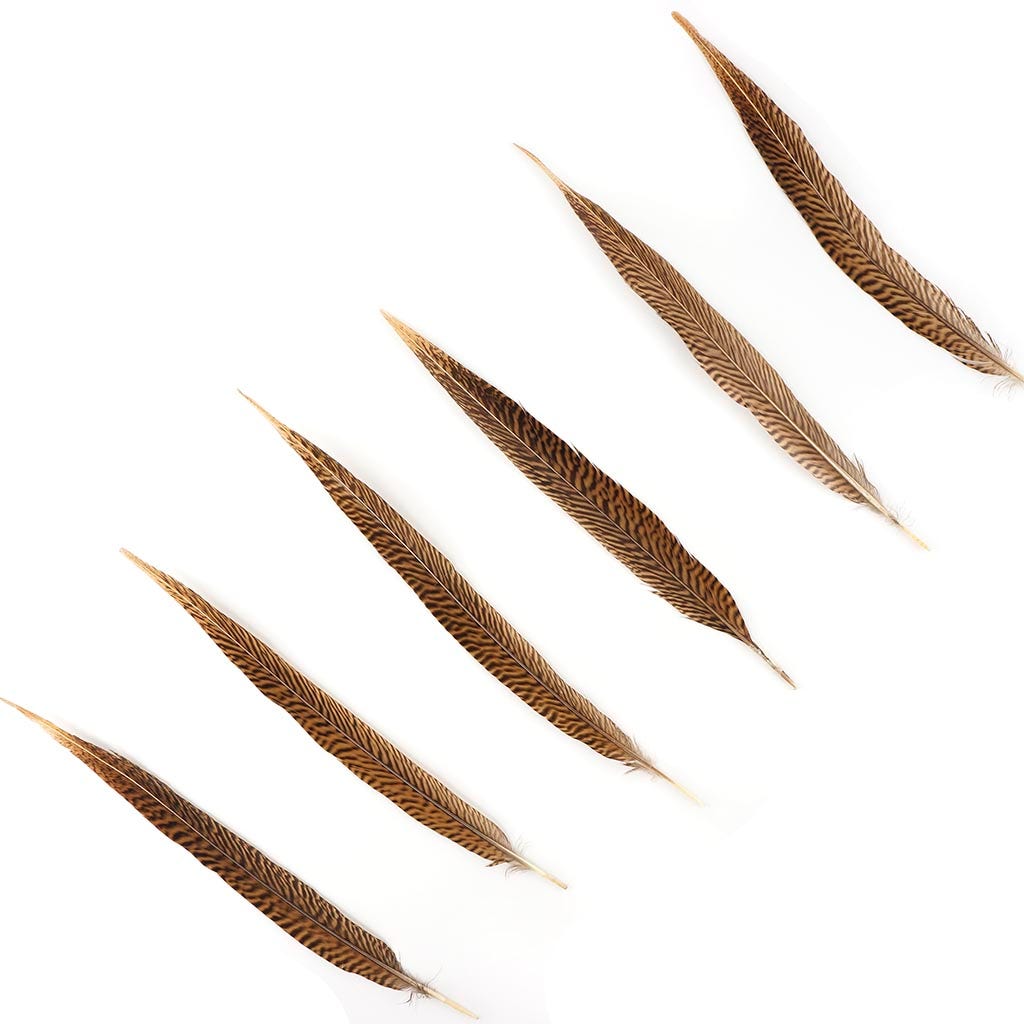 Golden Pheasant Tails Natural - 12 - 14’’ - Feathers